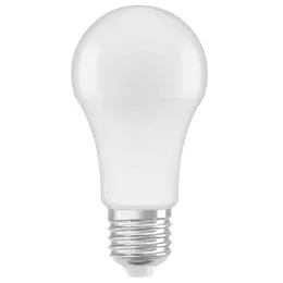 LDV_asset-9268402.jpg