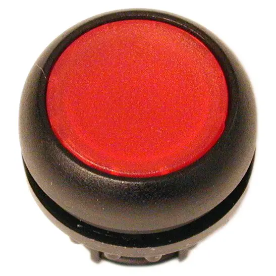 EA_116A169_L.jpg