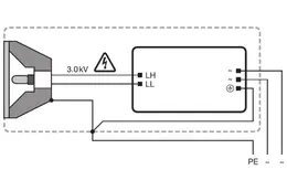 LDV_asset-303496.jpg