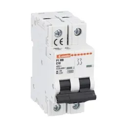 P1MB2PC10.jpg