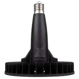 LDV_asset-13065557.jpg