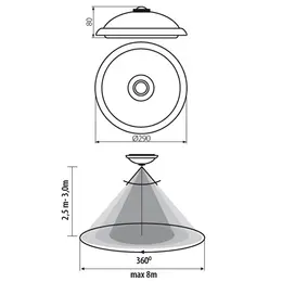 KAN_18121_size.jpg