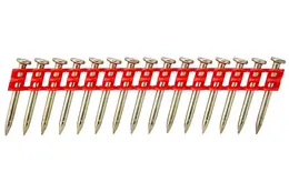 SBD_DCN8903017_1.jpg