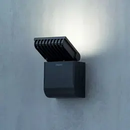 EST_o42050v3_theLeda_S8100L_BK_nnPI.jpg