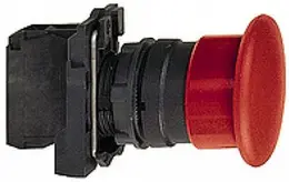 SCH_101279.jpg