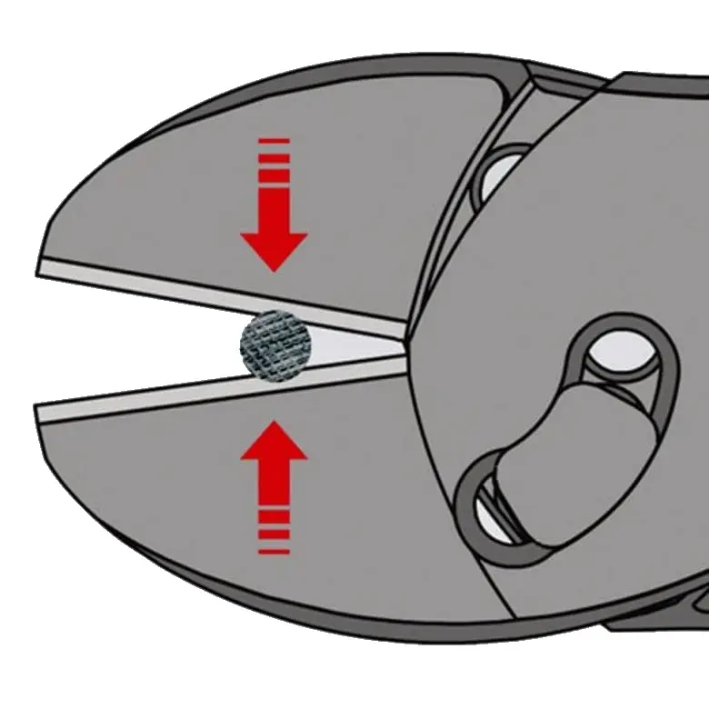 KN_IM0009981.jpg