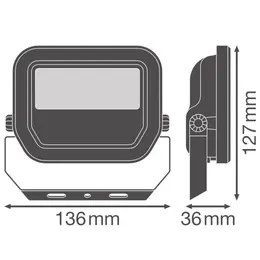 LDV_4099854305689.jpg