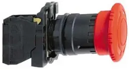SCH_66_10.jpg