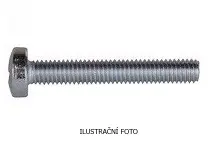 FS_7985_ZB_ilustr.jpg