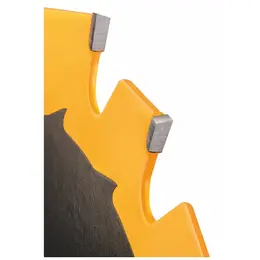SBD_DT1669_F1.jpg