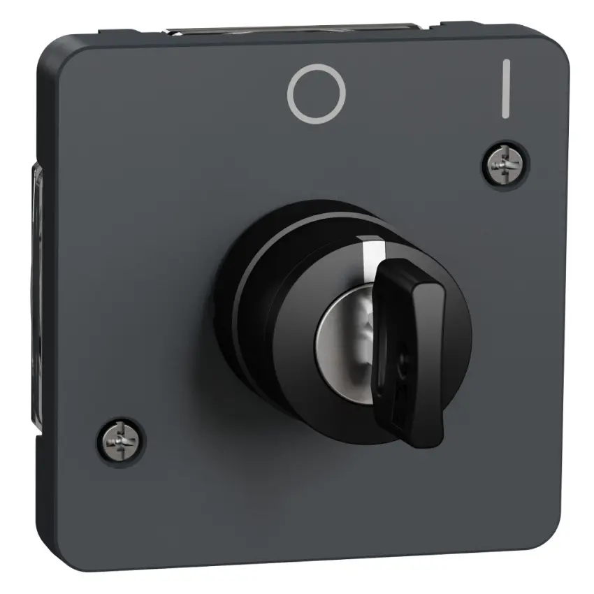 SCH_MUR35062_IoPdef_PMP19.jpg