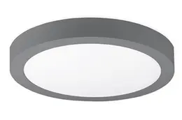 AUL_disc-surface_gy.jpg