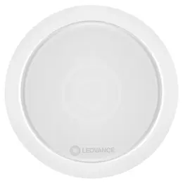 LDV_asset-7378830.jpg