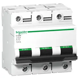 SCH_PB107920.jpg