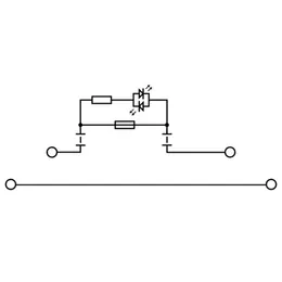 WM_PV_980272000191.jpg