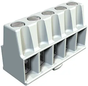 2009110_PG1.jpg