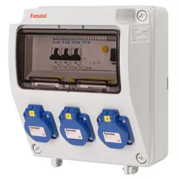 FAM_v135-6kA.jpg