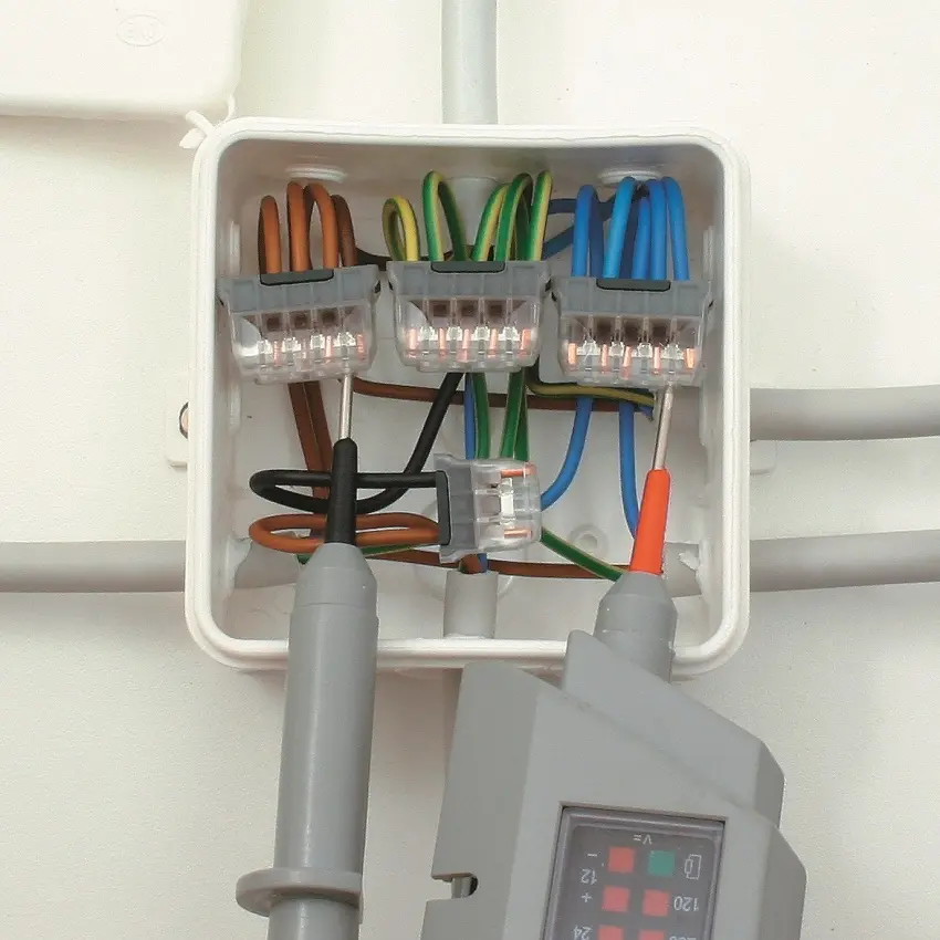 ELEM_1000470_2.jpg