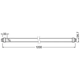 LDV_asset-13021195.jpg