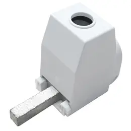 ELEM_1000388.jpg