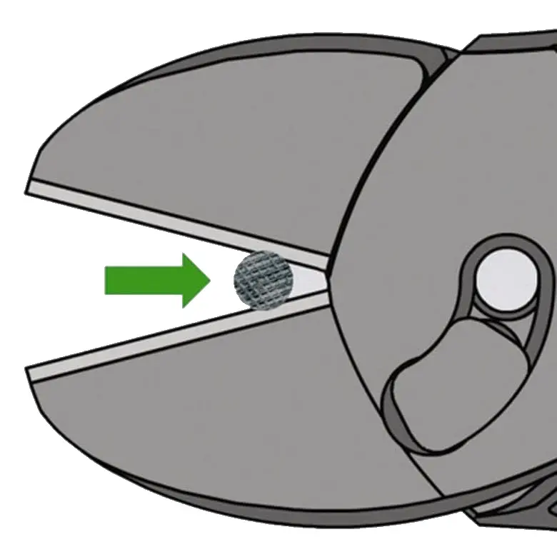 KN_IM0009980.jpg