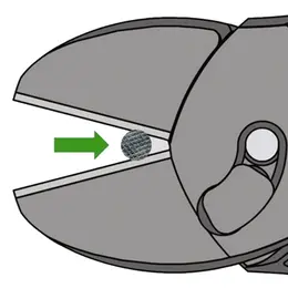 KN_IM0009980.jpg