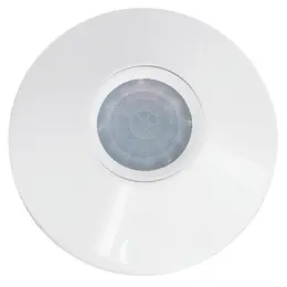 LDV_asset-1869887.jpg