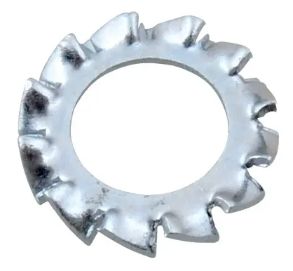 WAL_6533998.jpg