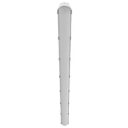 LDV_asset-13275091.jpg