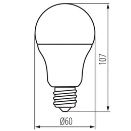 KAN_31203_RT.jpg