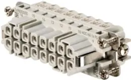 WM_1650780000.jpg