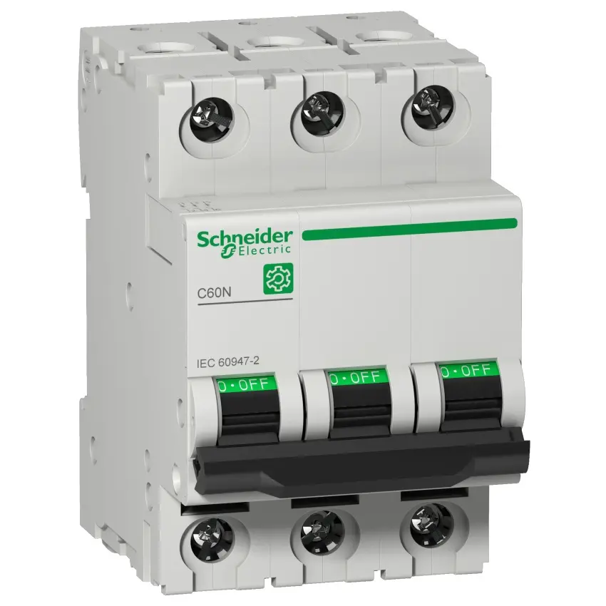 SCH_PB111751.jpg
