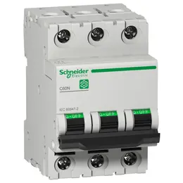 SCH_PB111751.jpg