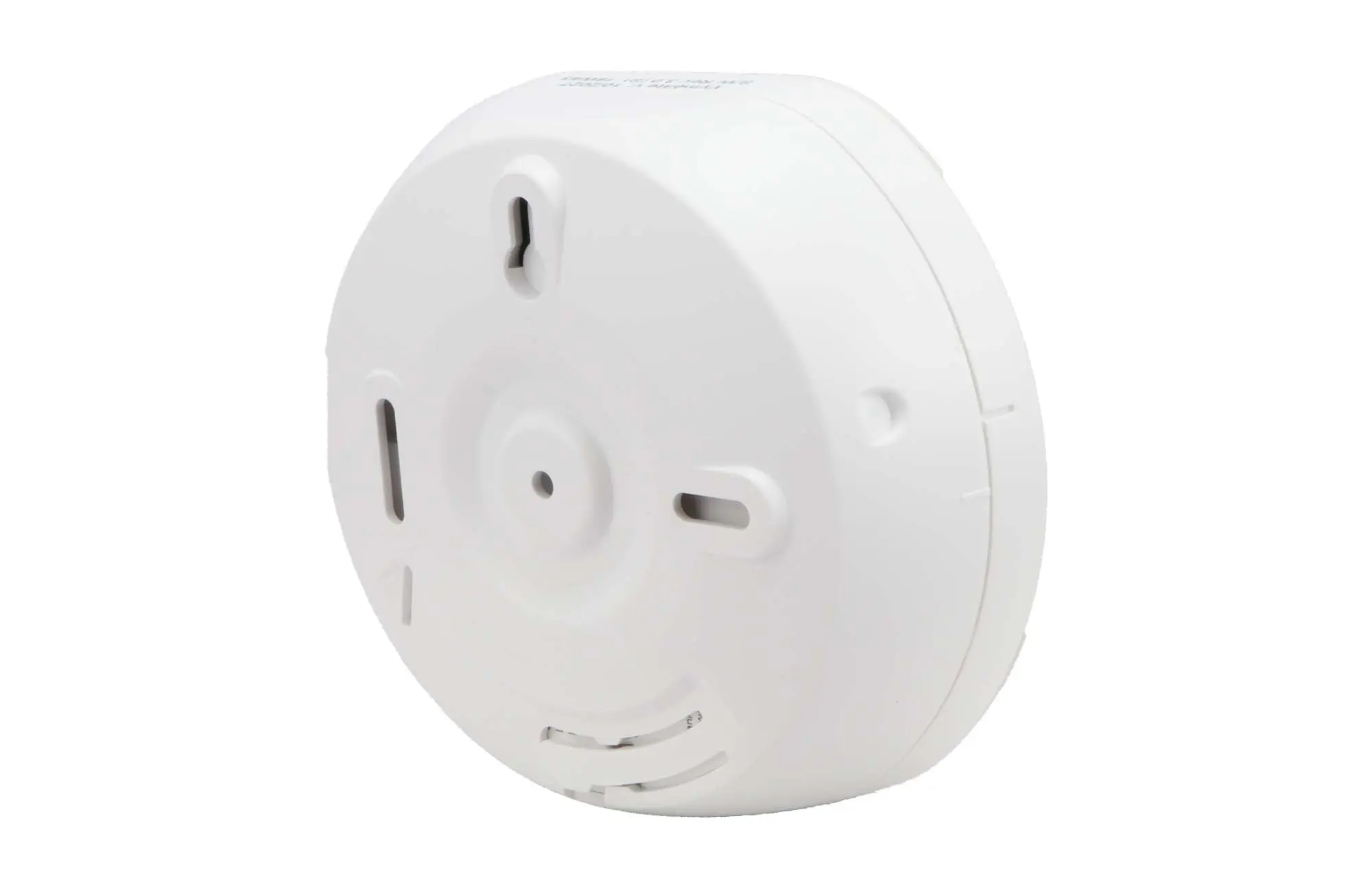 Ei208W_4.jpg