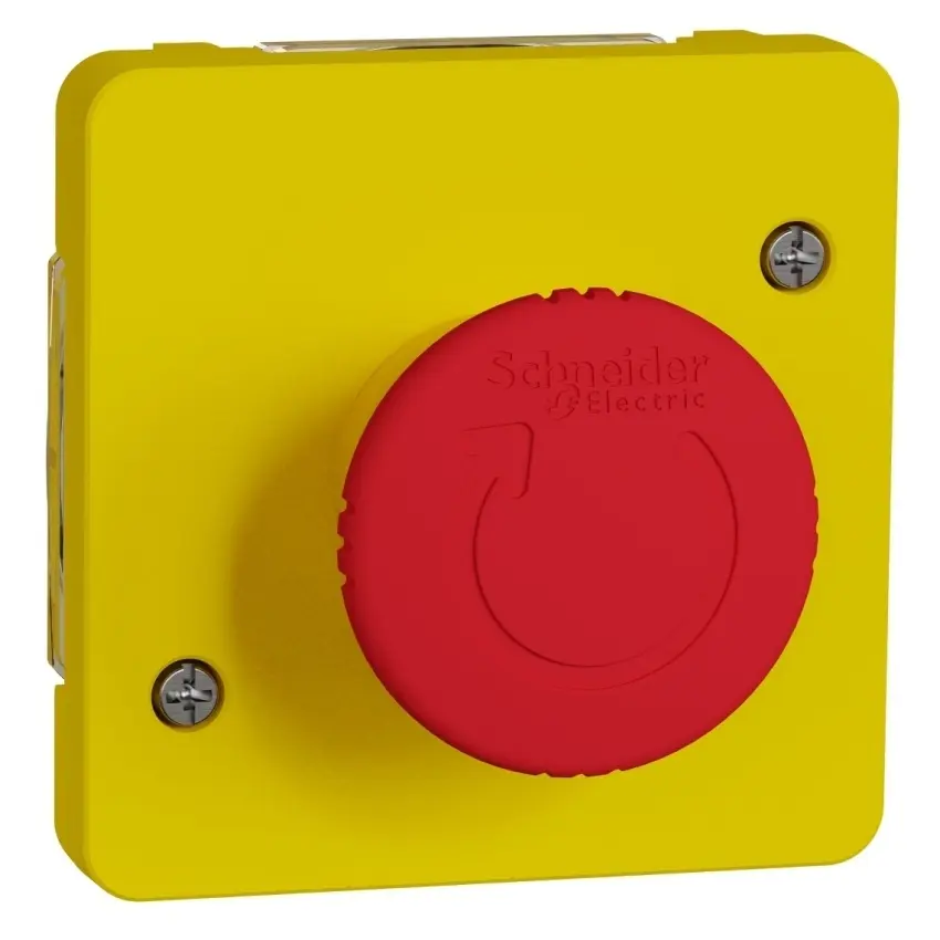 SCH_MUR35053_IoPdef_PMP19.jpg