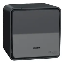 SCH_MUR35028_IoPdef_PMP19.jpg