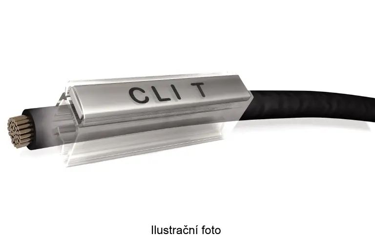 WM_1764190000_ilustr.jpg
