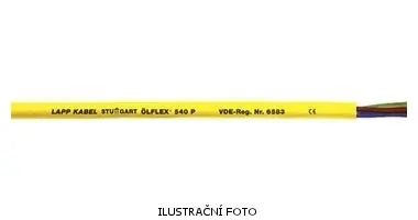LAP_0012462_ilustr.jpg