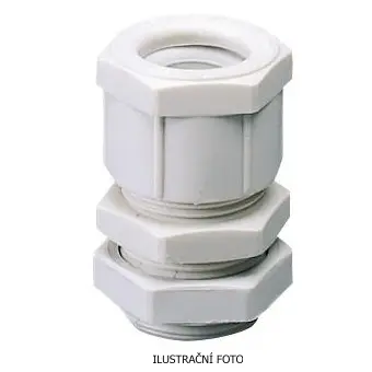 GW_GW10007285_ilustr.jpg
