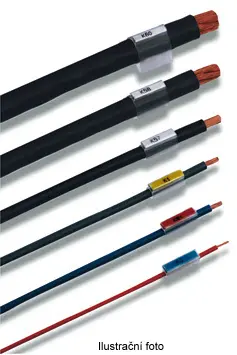 WM_1719880000_ilustr.jpg