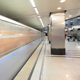 83728977_TREVOS_Foto9.jpg