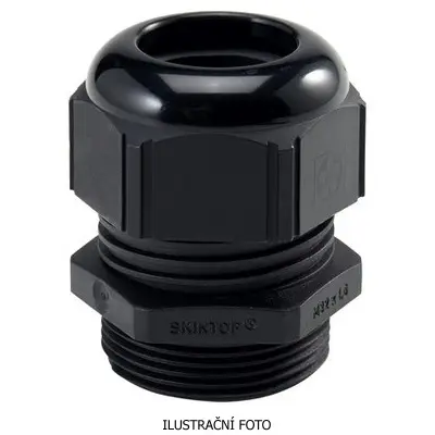 LAP_53111210_ilustr.jpg