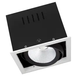 LDV_asset-3152993.jpg