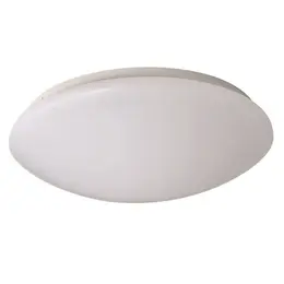 KAN_31096.jpg