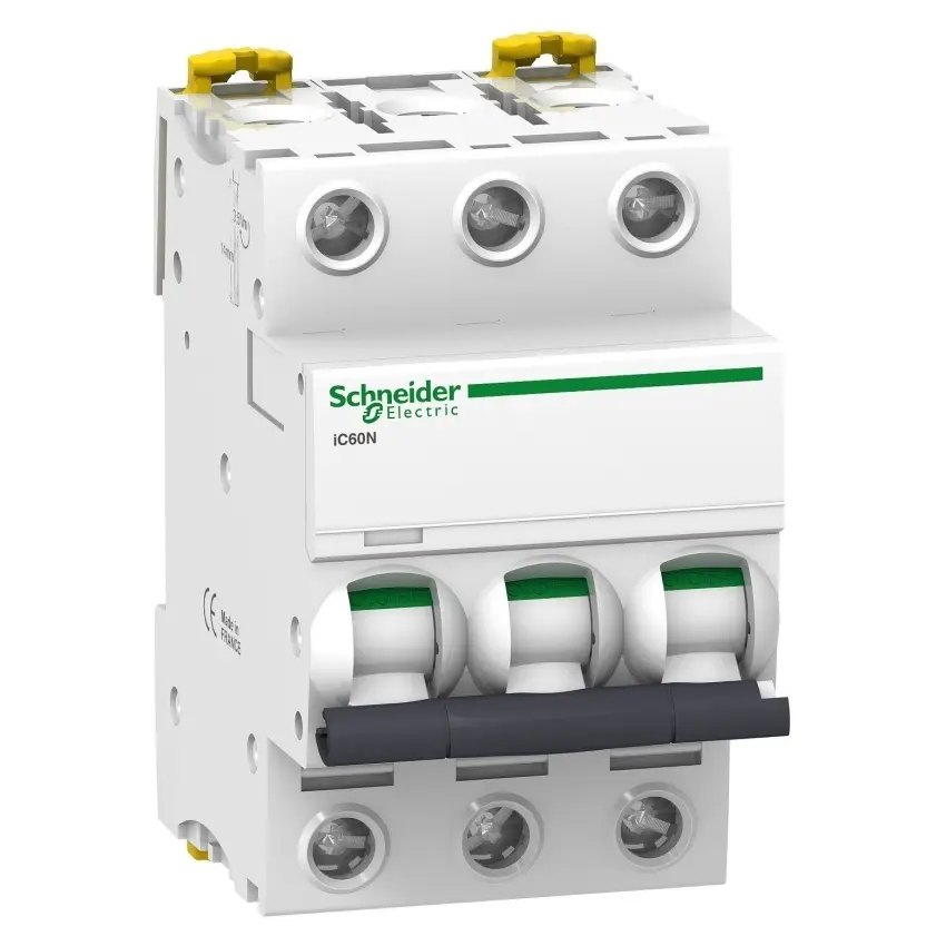 SCH_PB104445.jpg
