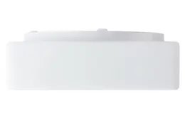 OS_LINA_3_SIDE.jpg