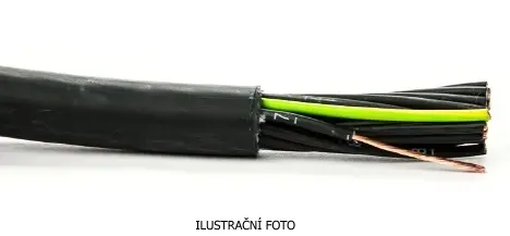 BKT_KV_YSLY-OZ_ilustr.jpg