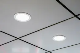 LDV_asset-6920411.jpg