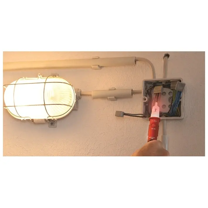 GHV_AM4918097_use2.jpg