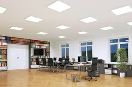 LDV_asset-13013608.jpg